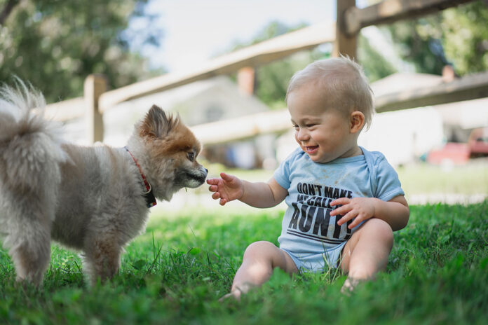 Zwierze domowe - pupil - dziecko i pies